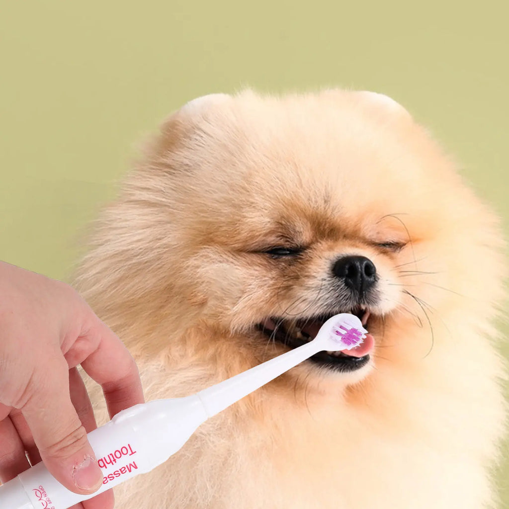 Electric Toothbrush Pets Lightweight Portable Waterproof Electrical