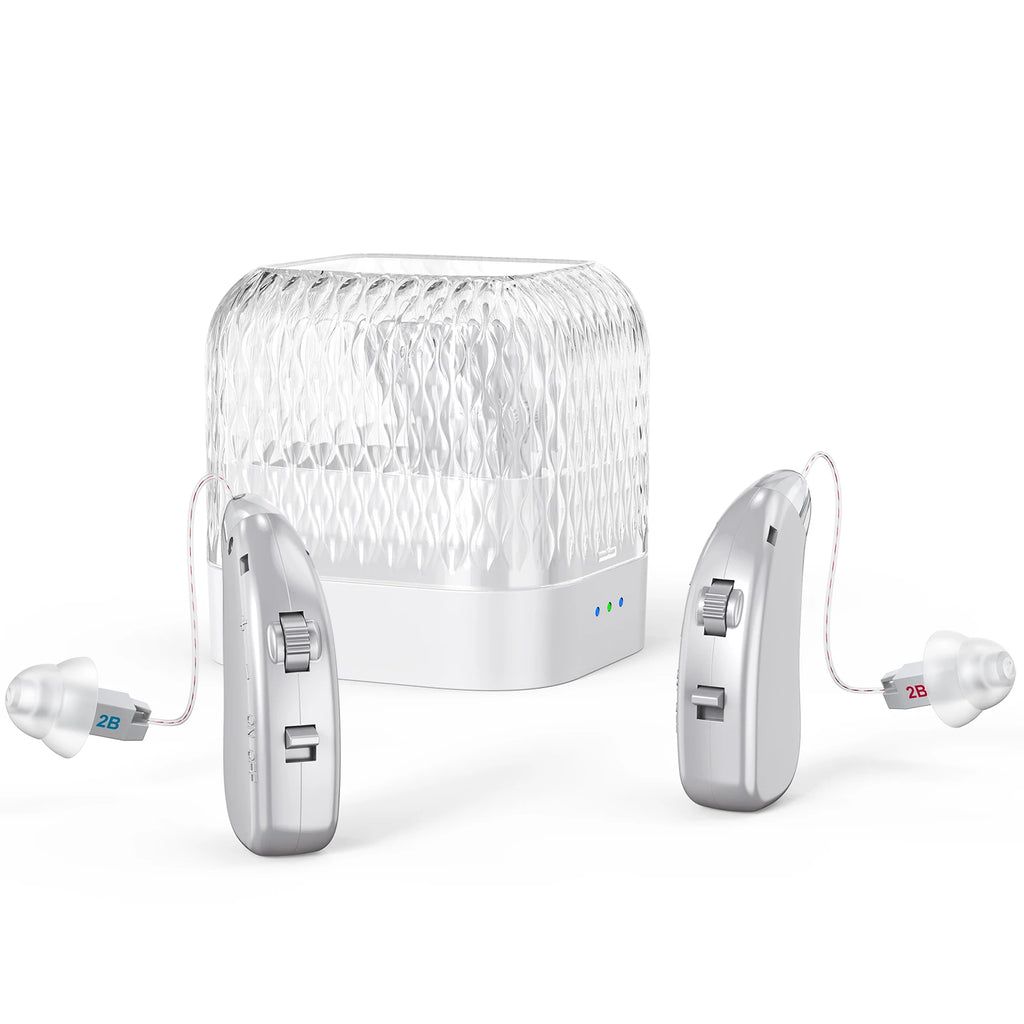 Rechargeable Noise-reducing Hearing Aid Prevents Howling Invisible