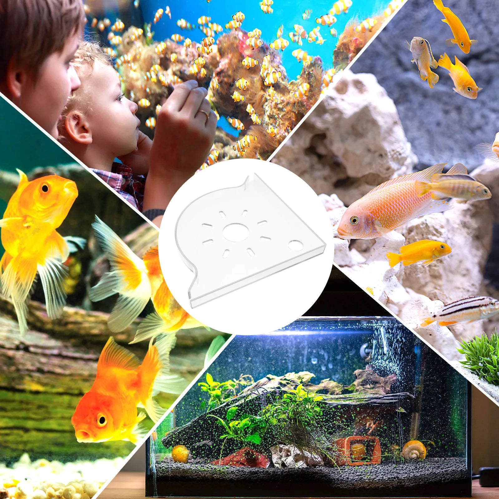 Triangle Corner Stand Aquarium Fish Tank Storage Shelf Space Saving
