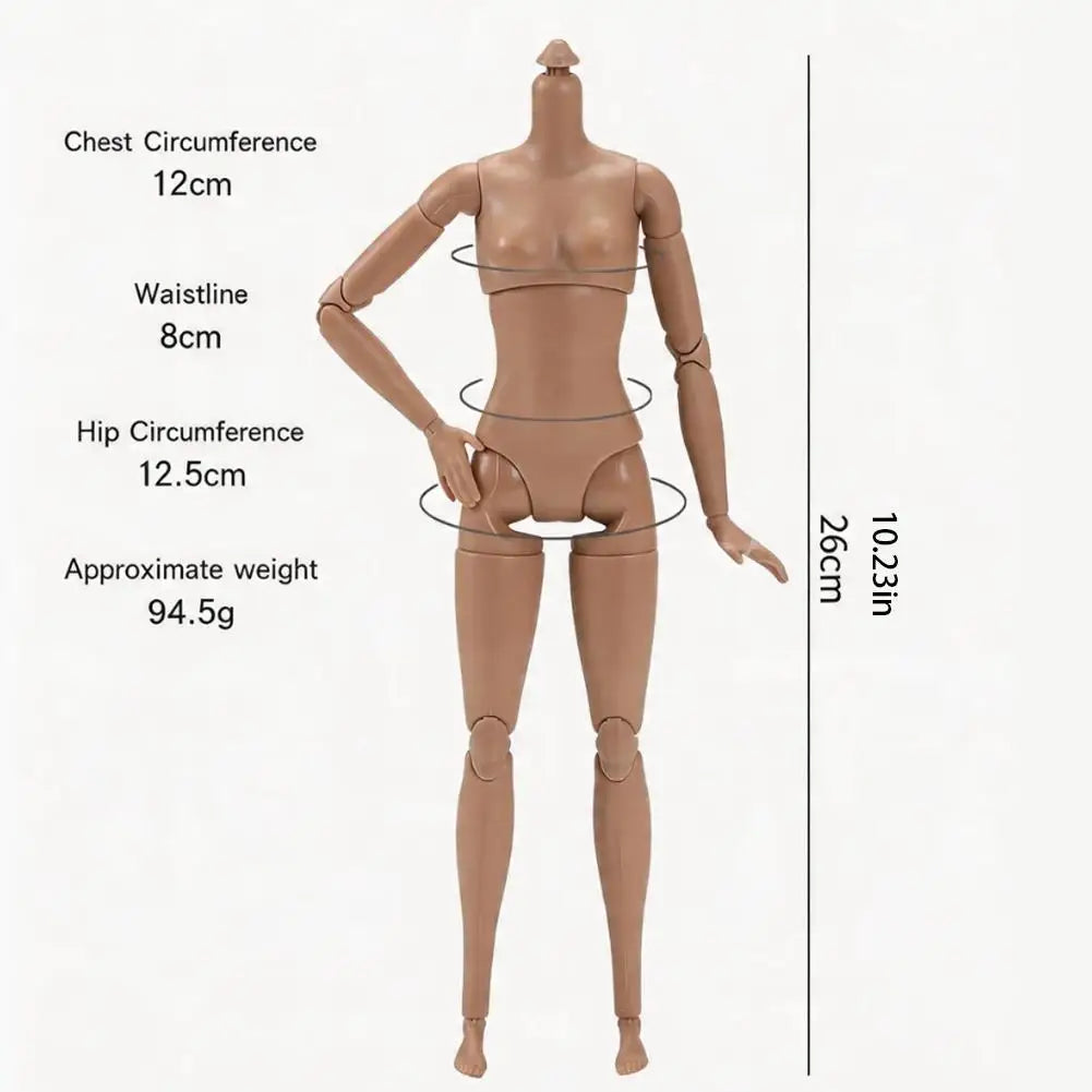 Custom DIY Art Photo Scale Action Figure Multi Jointed Movable Female Action Figure Body for Display Collection Nude Figure Zpaxo