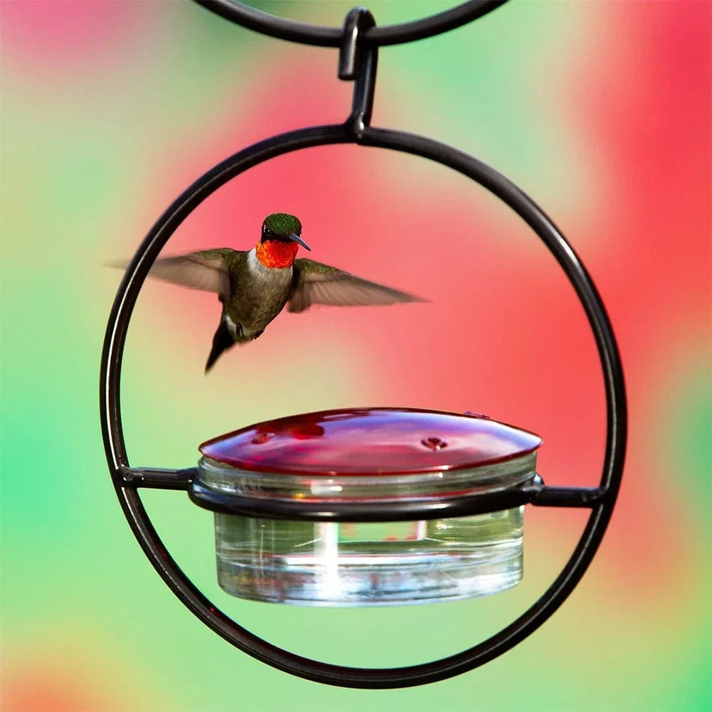 1- Hanging Hummingbird Feeder Red Glass Bowl Tray Garden Decoration