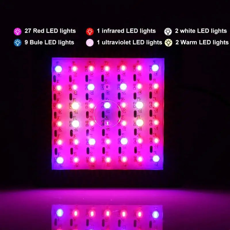 80W LED Grow Light 42leds IP66 Indoor Hydroponic System Fruits Lamp Zpaxo