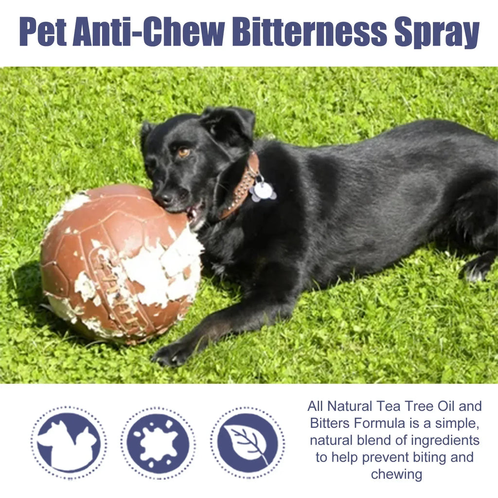 50ml Cat Scratch Deterrent Spray – Natural Citrus Formula