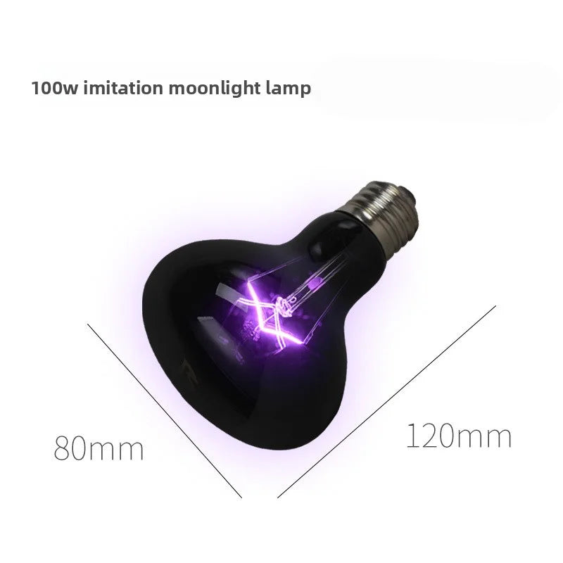 Reptile Moonlight Night Lamp – Chameleon & Lizard Heat Bulb