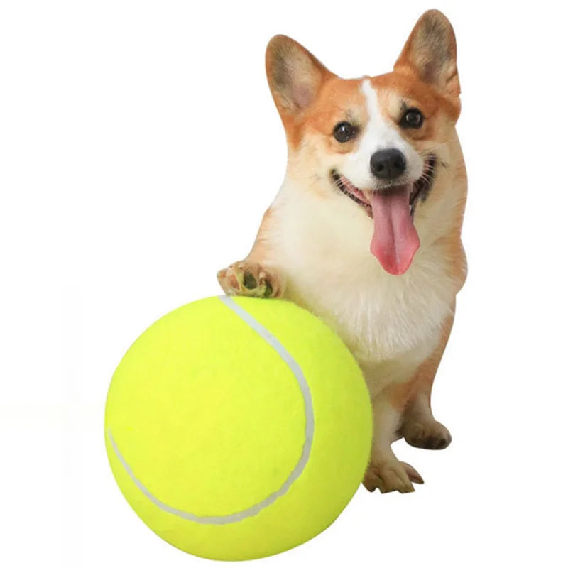 Tennis Ball Large Dog Pet Balls Dogs Outdoor Indoor Sports Training