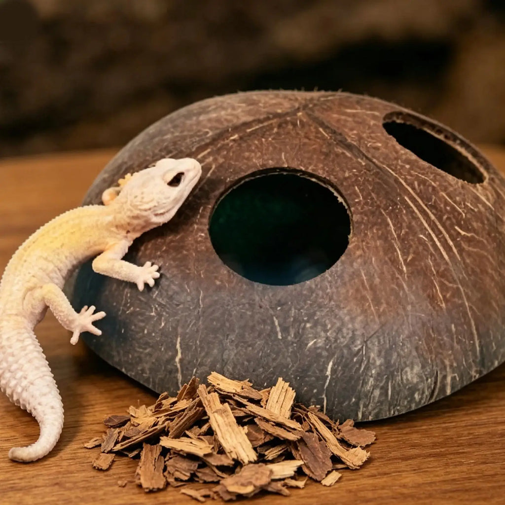 Reptile Shelter Coconut Cave Turtle Coconut Cave Reptile Hiding Cave Natural Coconut Shells Turtle Aquarium Hide House Decor Zpaxo