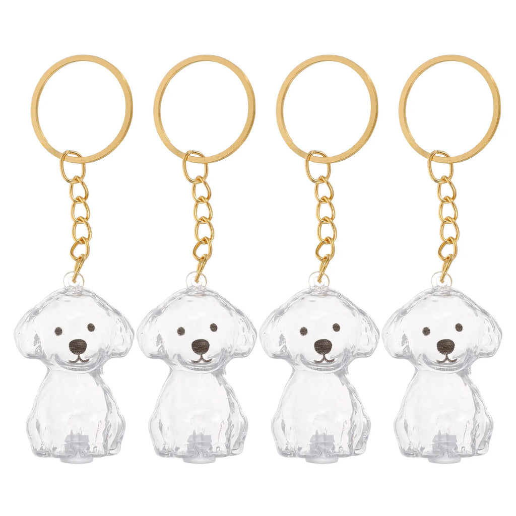 Pet Hair Memorial Box Transparent Dog Keepsake Keychain Portable