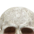 Halloween Skull Decor Resin Decorative Realistic Gothic Statue Human
