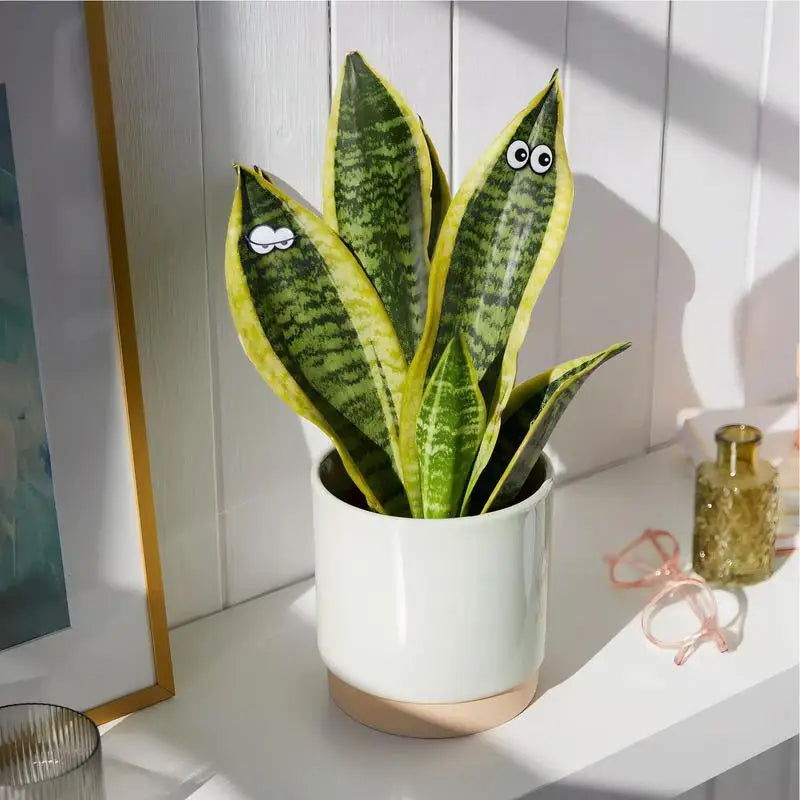 6pcs Plant Magnets Eyes For Potted Plants, Funny Plant Safe Magnet Pins House Plant Accessories, For Plant Lovers Zpaxo