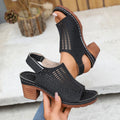 Women High Heel Sandals Open Toe Stylish High Heels Shoes for Women New Summer Luxury Sandals Platform Hollow Out Casual Sandals Zpaxo black 37