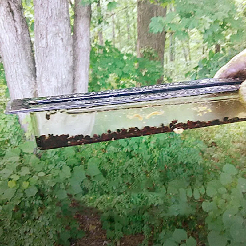 10 Beekeeping Bee Beetle Traps Beehives Hive Beetles Blaster Trap