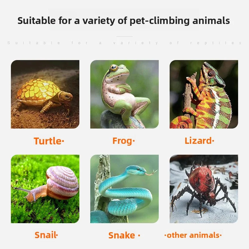 UVB UVA LED Reptile Basking Light – Turtle & Lizard Sun Lamp Reptile Basking Lamp Zpaxo