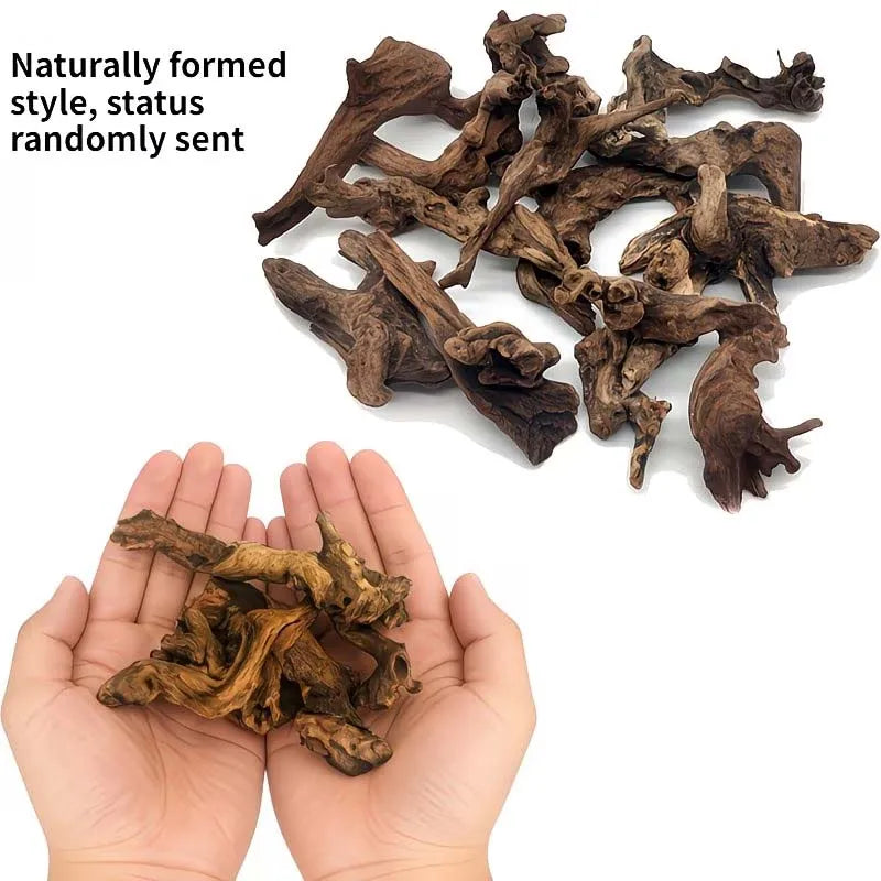 Natural Sinkable Driftwood 5–10cm | Aquarium & Reptile Decor Aquarium Driftwood Zpaxo