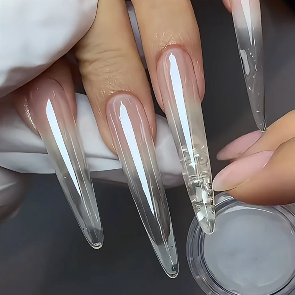 1Box Gloss Plating Aurora Nail Powder Moonlight White Mirror Art Zpaxo