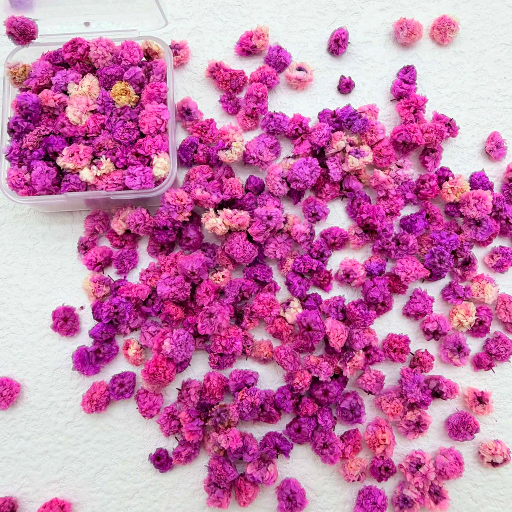 Colorful Daisy Flower Heads – DIY Resin, Candle & Jewelry Filler Craft Flower Filler Zpaxo