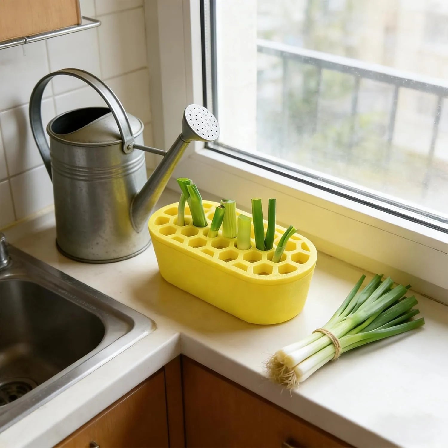 3D Printed Green Onion Regrower Sprouting Hydroponic Scallion Planter