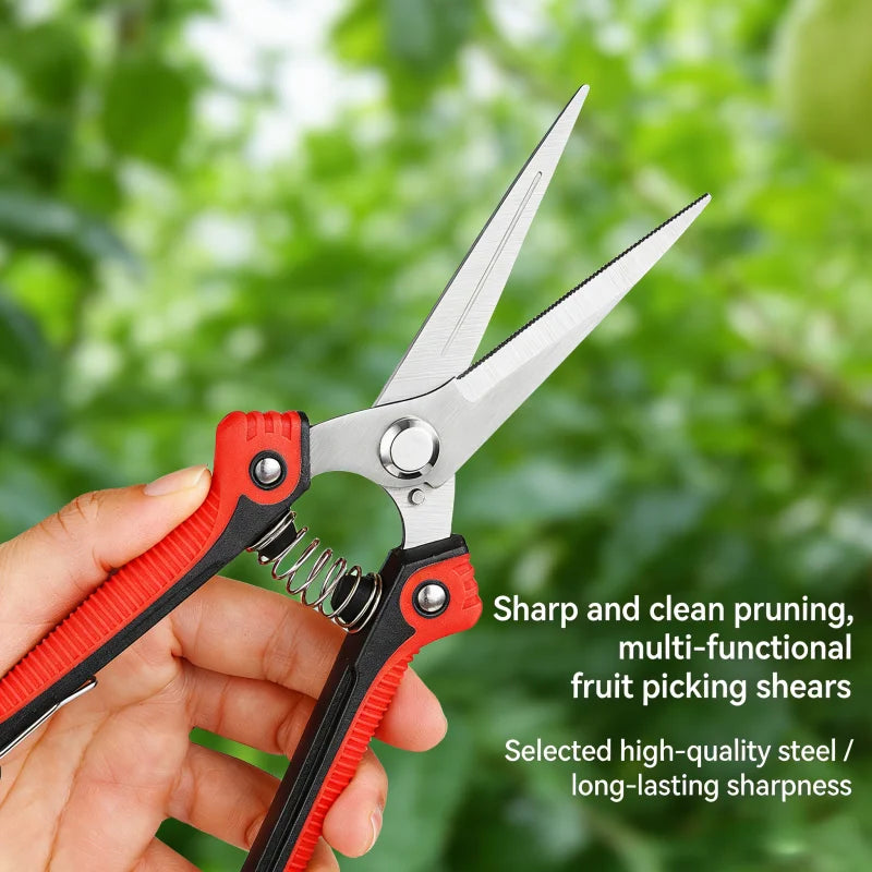 Fruit tree scissors, stainless steel pointed pruning shears, pruning shears, fruit and vegetable pruning shears, flower cutting Zpaxo