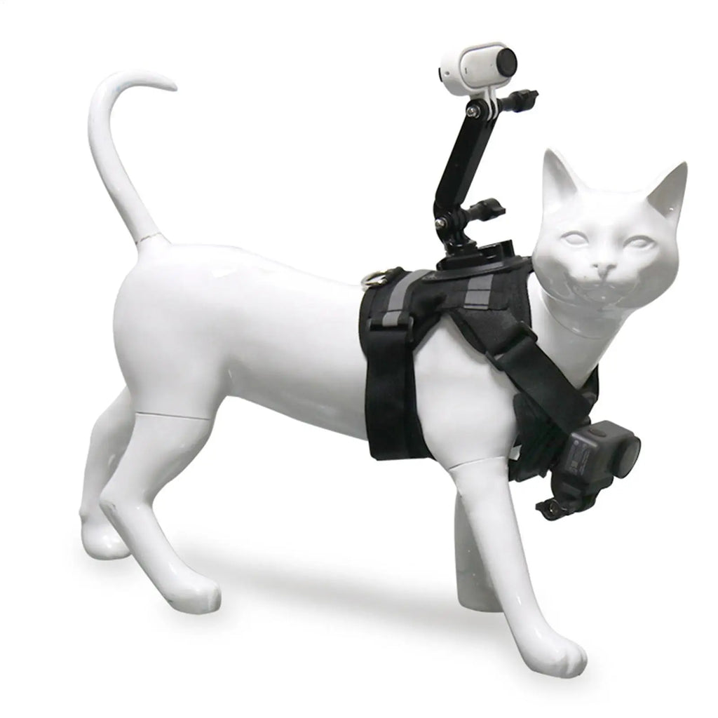 Escape Proof Cat Harness Escape Proof With Camera Mount Adult Cat Harness Vest For Training For Kitten Indoor Outdoor Hiking Zpaxo