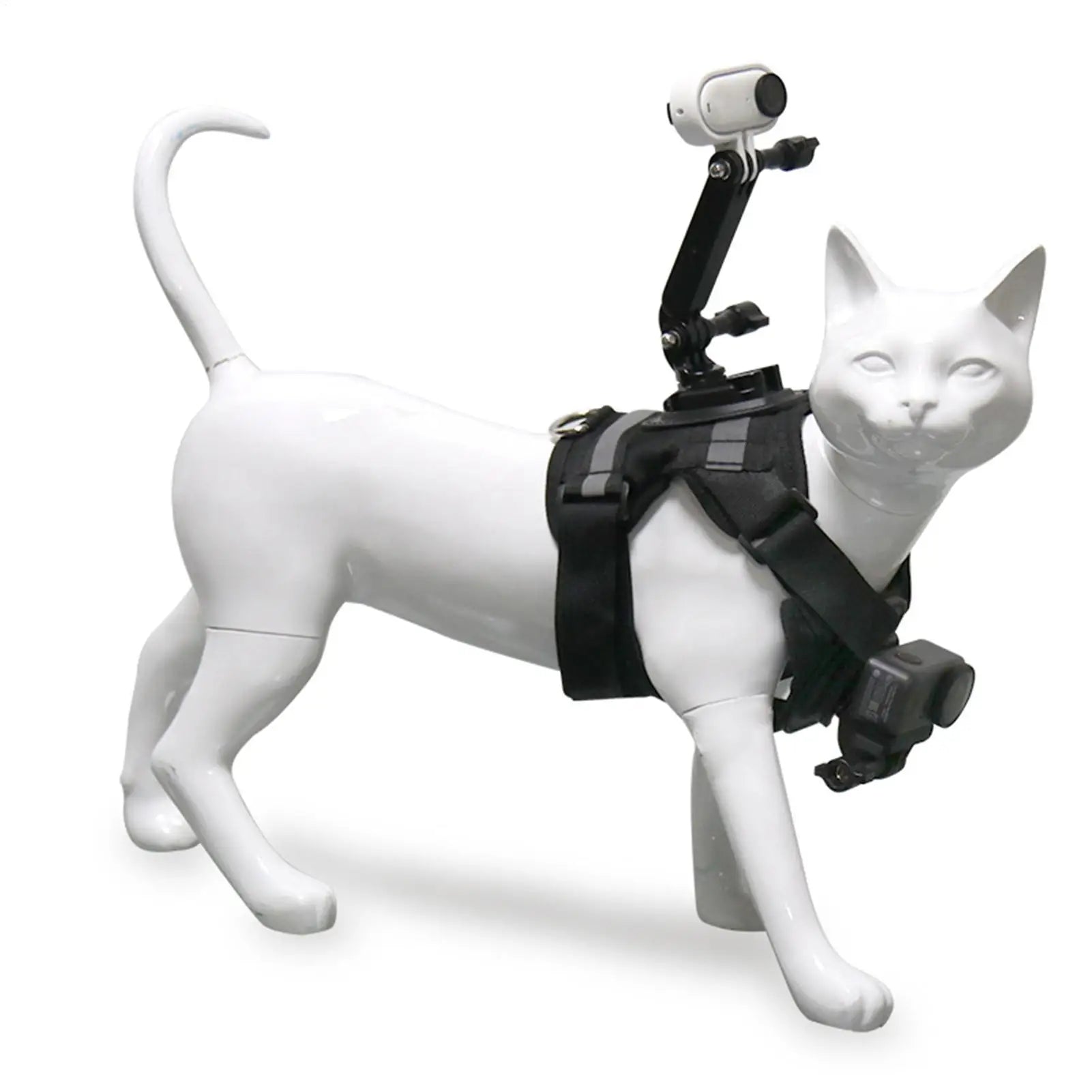 Escape Proof Cat Harness Escape Proof With Camera Mount Adult Cat Harness Vest For Training For Kitten Indoor Outdoor Hiking Zpaxo