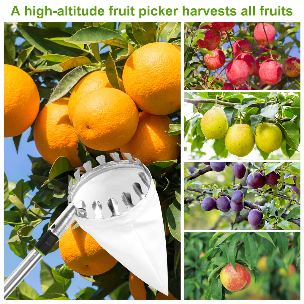 3.2M Fruit Picker Tool Metal Gardening Orchard Picking Tool with Storage Bag Fruit Catcher for Cherry Berry Orange Lemon Pear Zpaxo