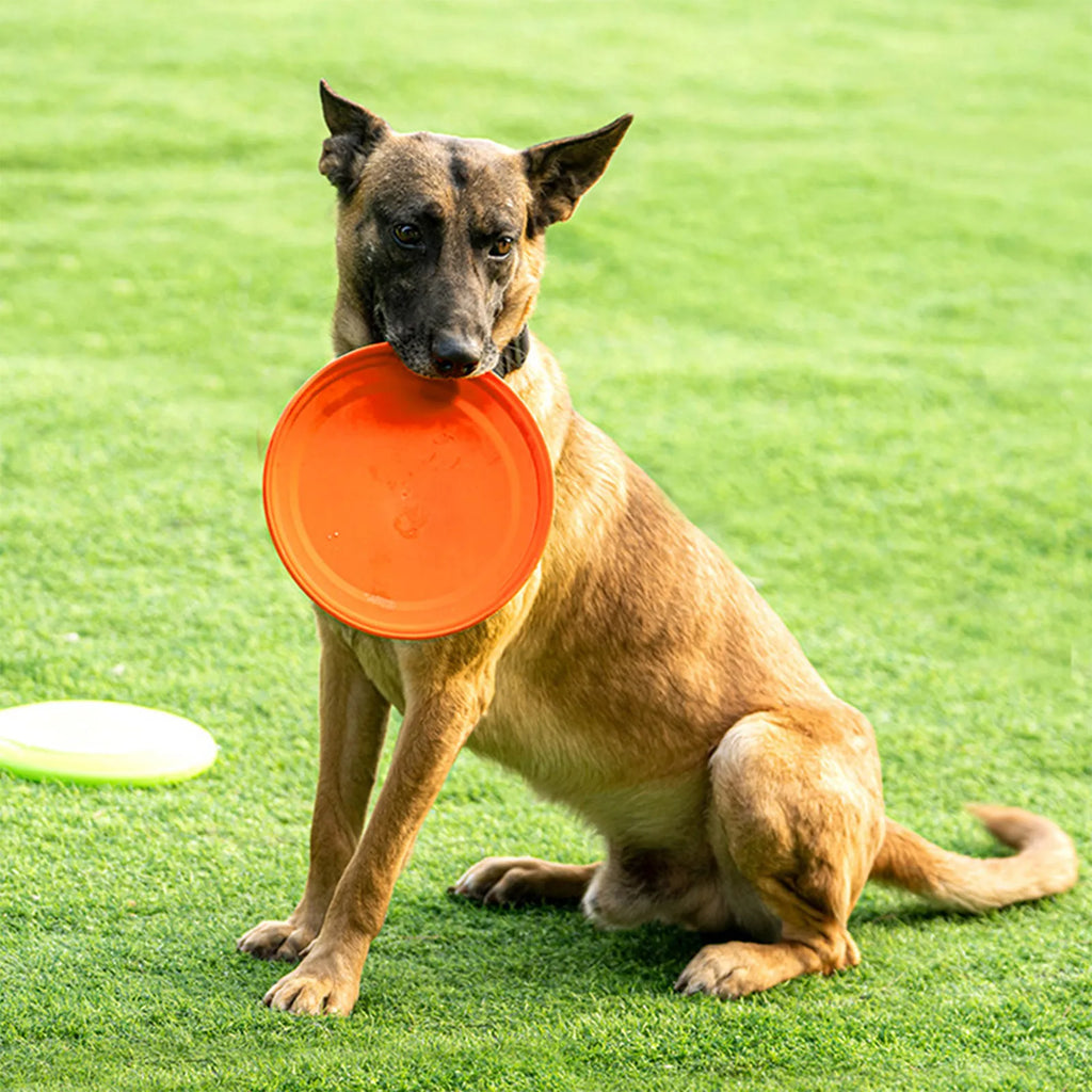 Wear-resistant Dog Disc Interactive Portable Multi-function Flying