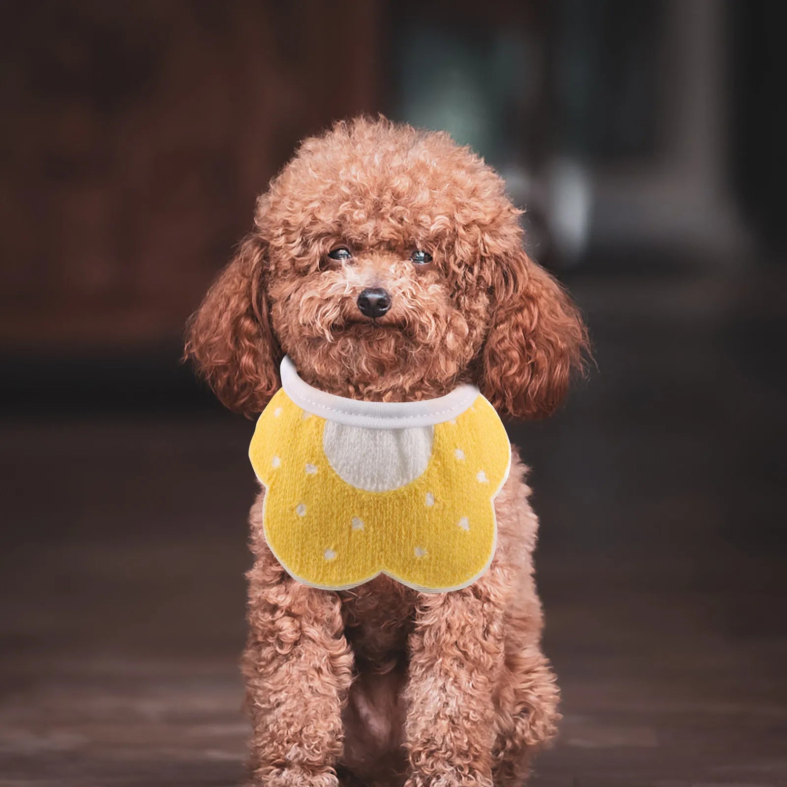 Pet Dog Scarf Neck Bandana Bee Cartoon Flower Pattern Soft Washable