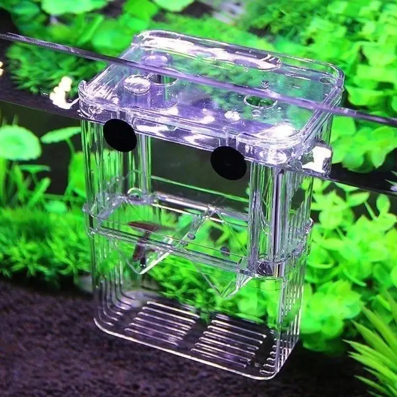 Aquarium Fish Breeder Box Durable Betta Tank Breeding Isolation