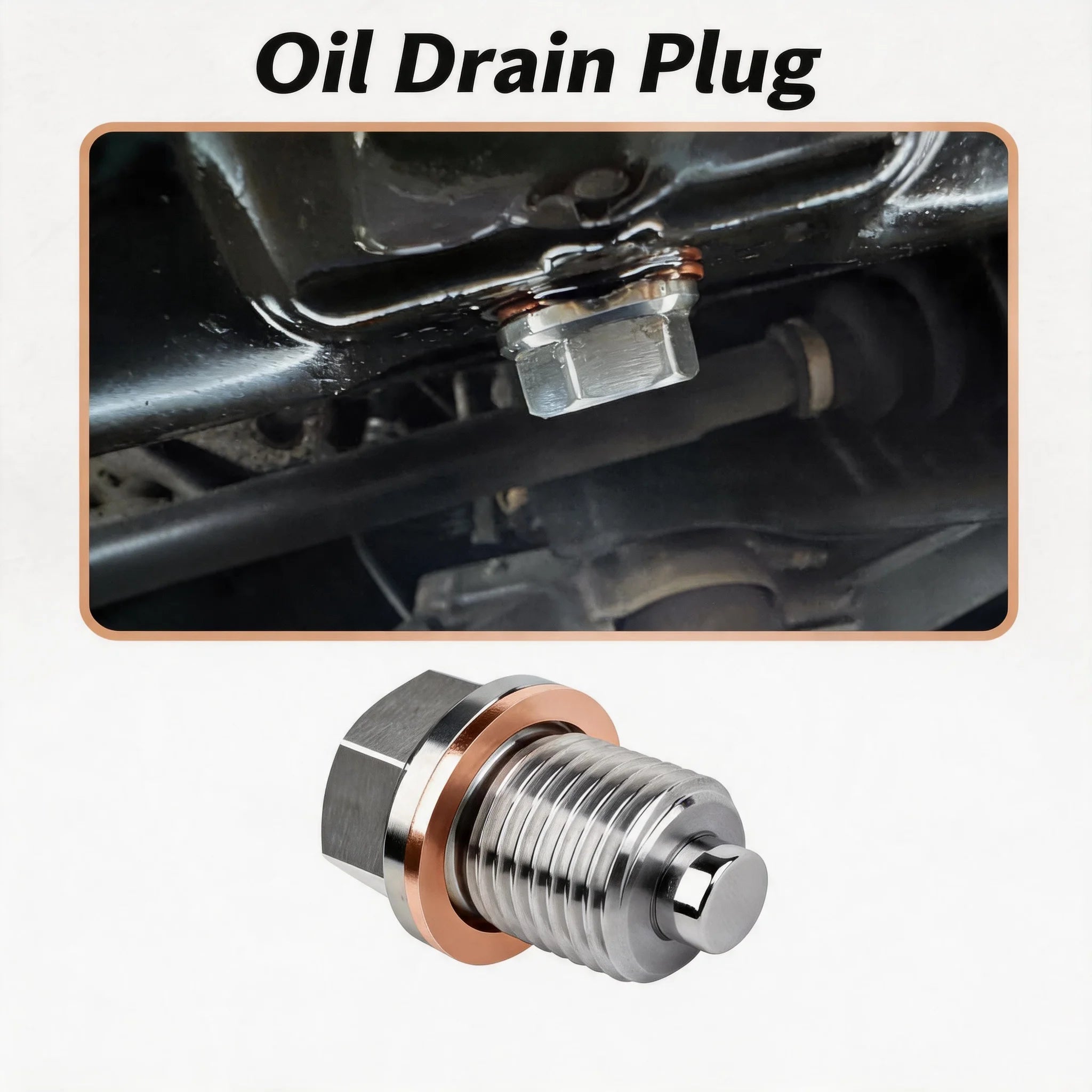 Magnetic Oil Drain Plug Stainless Steel M12 M14 M16 Oil Pan Nut