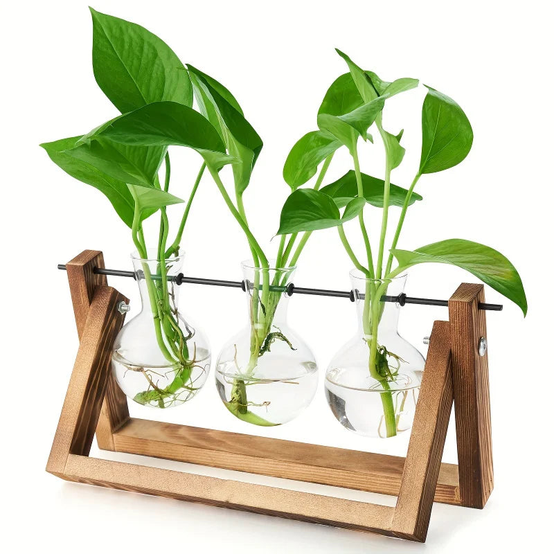 Plant Glass Container Wooden Stand 3 Bulb Planters Nurturing Station