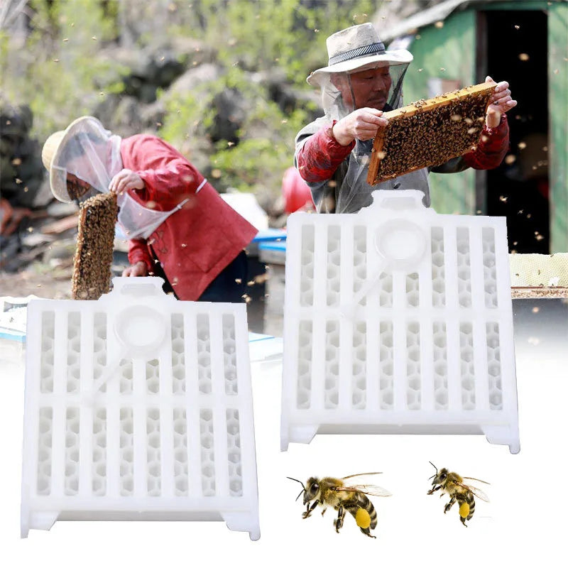 Beekeeping Transport Queen Cages Design Bee Post Cage Transparent Box