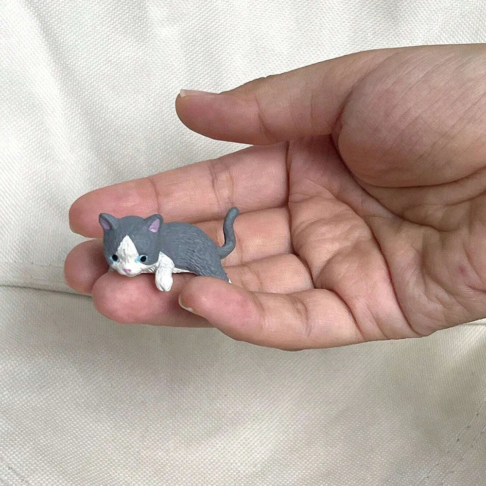 Cat Figurines Cartoon Animal Cat Miniature Ornaments Funny Micro Landscape Home Car Decoration Zpaxo