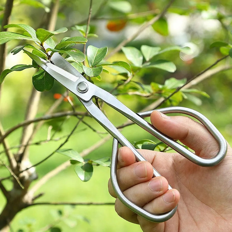 Tender Leaf Scissors Bonsai Tools Branch Scissors Extended Stainless Steel Gardening Scissors Tender Leaf Sprouts Pruning Scisso Zpaxo
