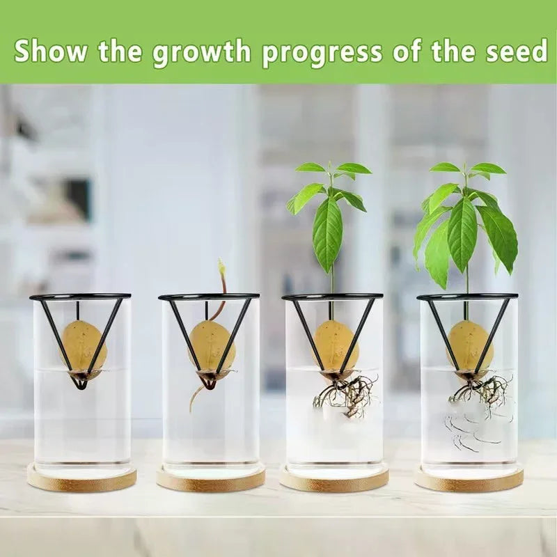 1/2/4pcs Avocado Seed Starter Vase Holders Avocado Seed Growing Triangle Metal Stand Carrots, Sweet Potatoes Growing Stand Zpaxo