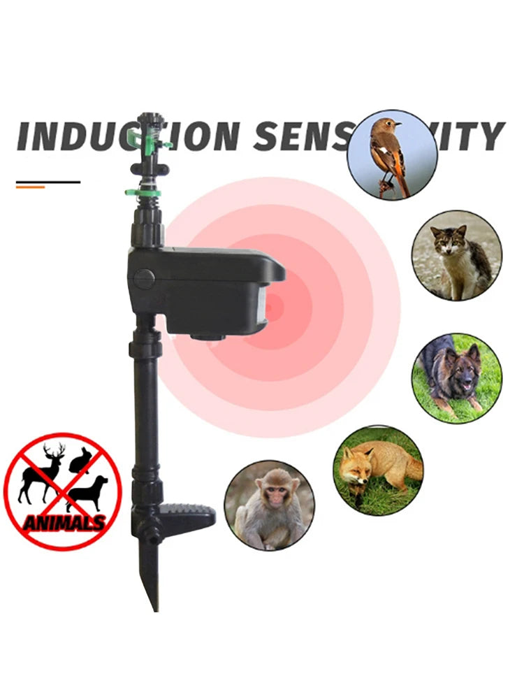 Motion Activated Sprinkler Scaring Away Wild Animals Animal Sensor