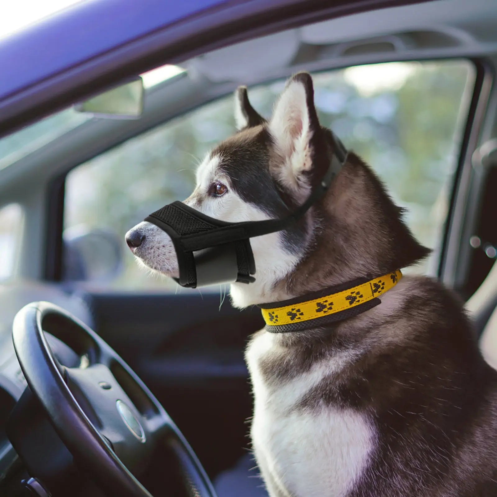Adjustable Dog Muzzle Large Anti Barking Chewing Breathable