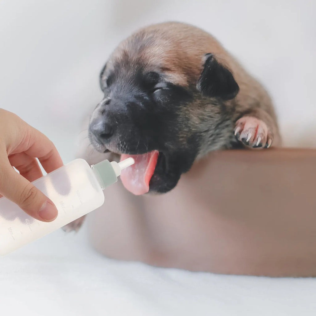 Pet Feeding Bottles Premium Silicone Newborn Puppy Kitten Feeder