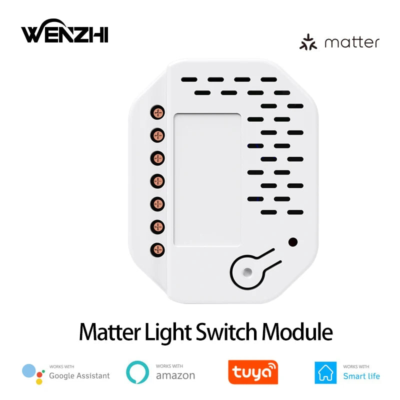 Matter Light Switch Module 2Gang Relay 220V With Neutral Works With Tuya Smart Life Homekit Smartthings Alexa Home Automation Zpaxo 1pcs China Mainland