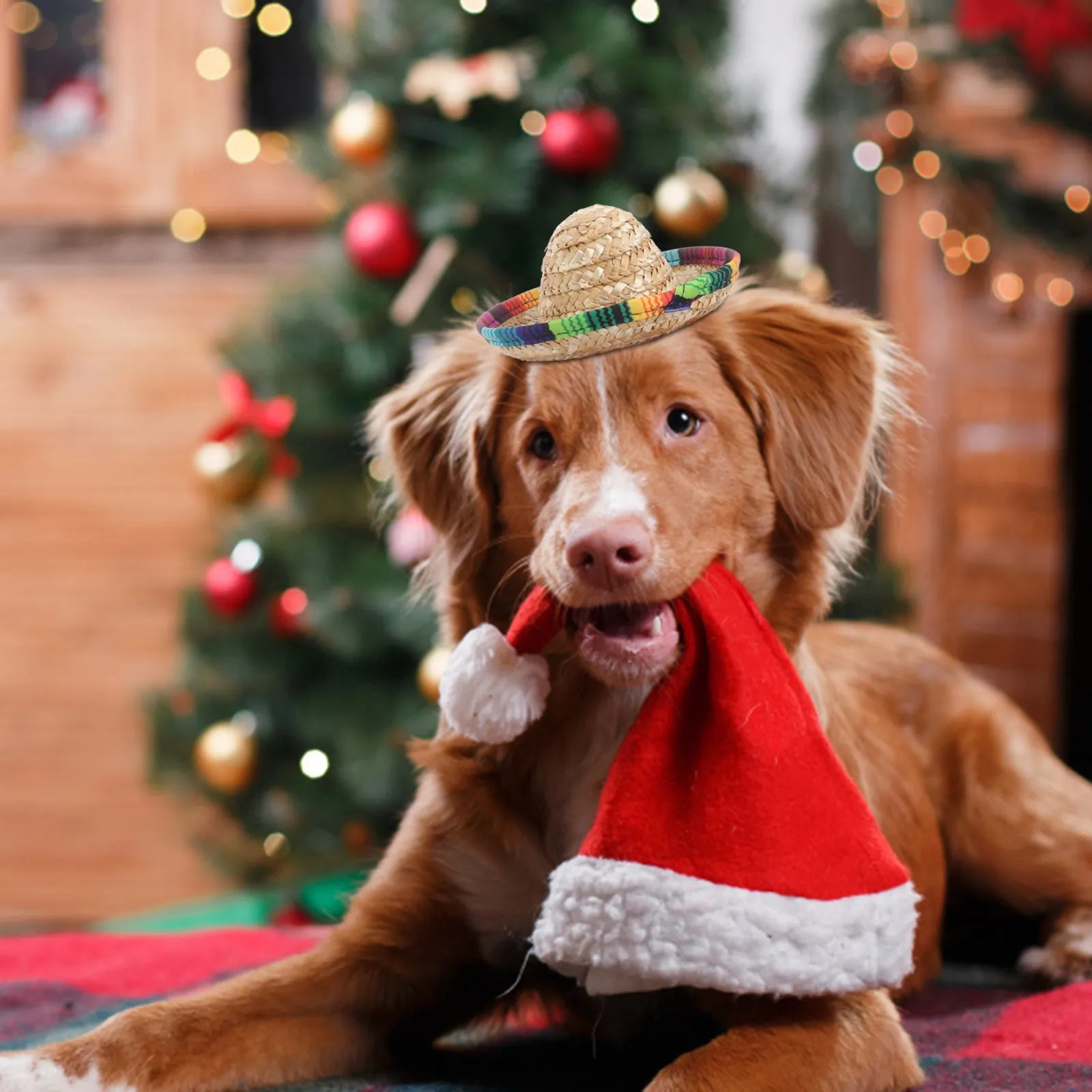 Mexico Halloween Pet Hat Stylish Comfortable Dog Cosplay Costume