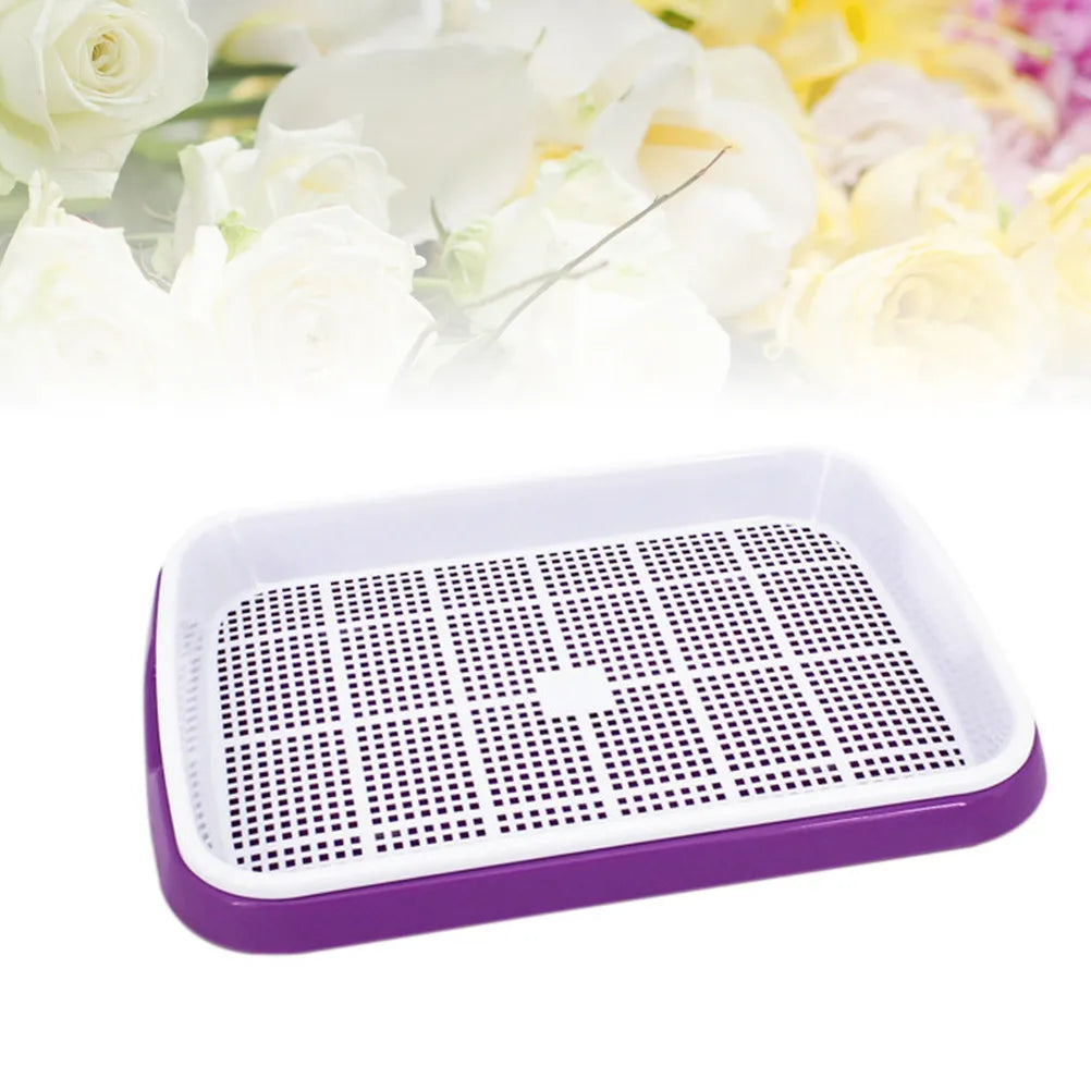 Premium Sprouter Tray Set Soil-Free Sky-Blue Bpa Free PP Material Sprouting Multiple Seeds Storage Tray Fruit Vegetable Holder Zpaxo