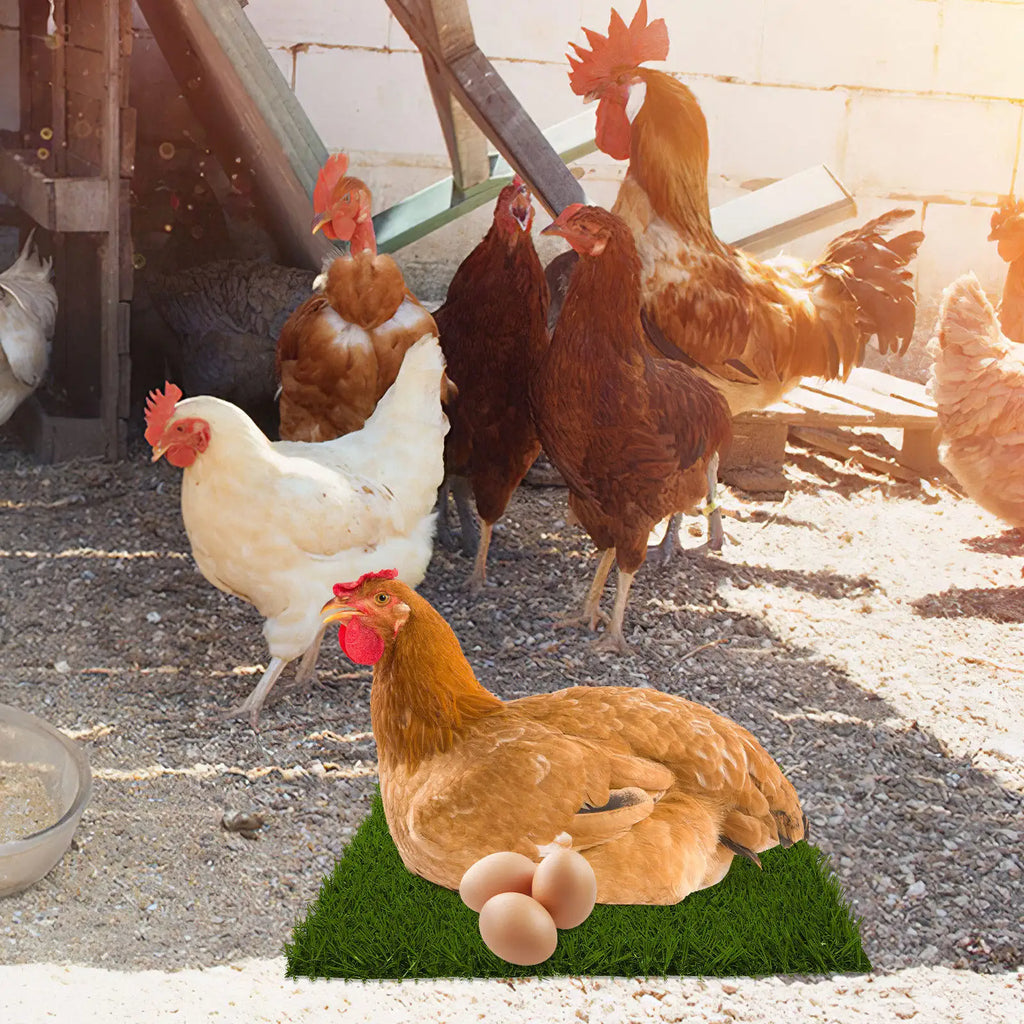 Reusable Nesting Pads Chicken Coop Artificial Turf Laying Comfortable