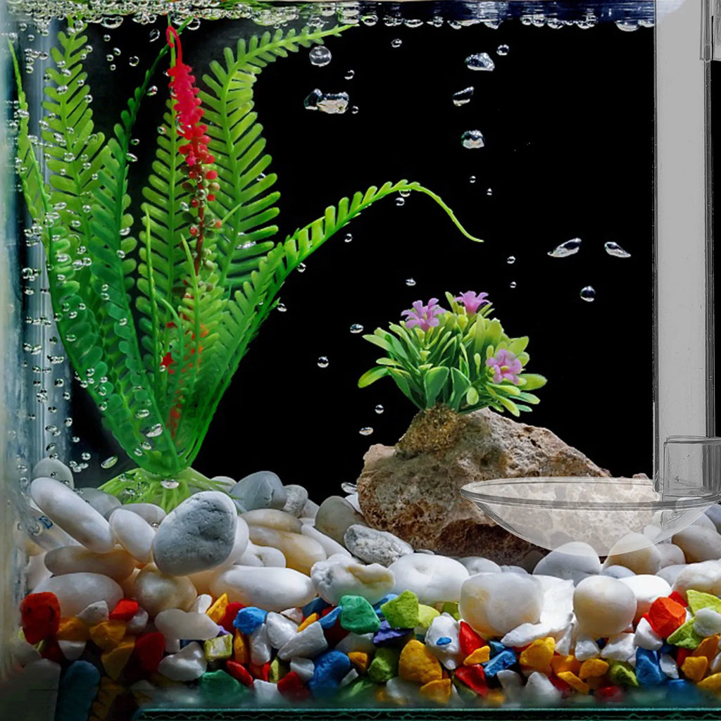 Aquarium Shrimp Feeder Tube Acrylic Fish Feeding Device Sinking