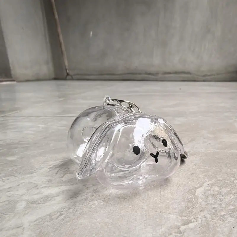 APet Hair Memorial Keepsake Box Bottle Transparent Storage Container Zpaxo A3