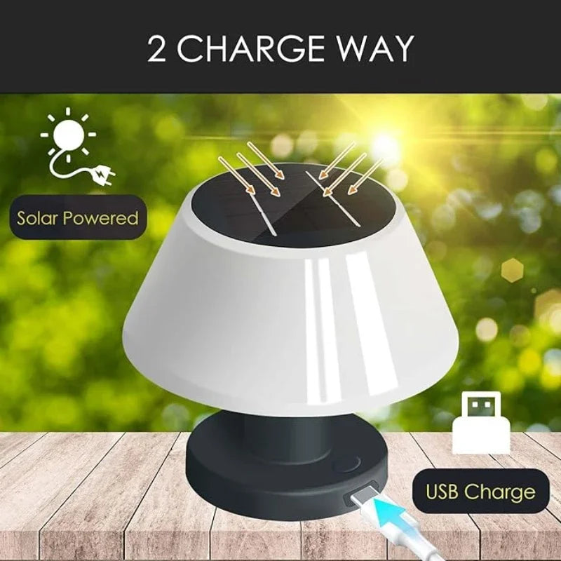 Outdoor Solar Lighting Garden USB Rechargeable Indoor Desk Bar Decor Zpaxo