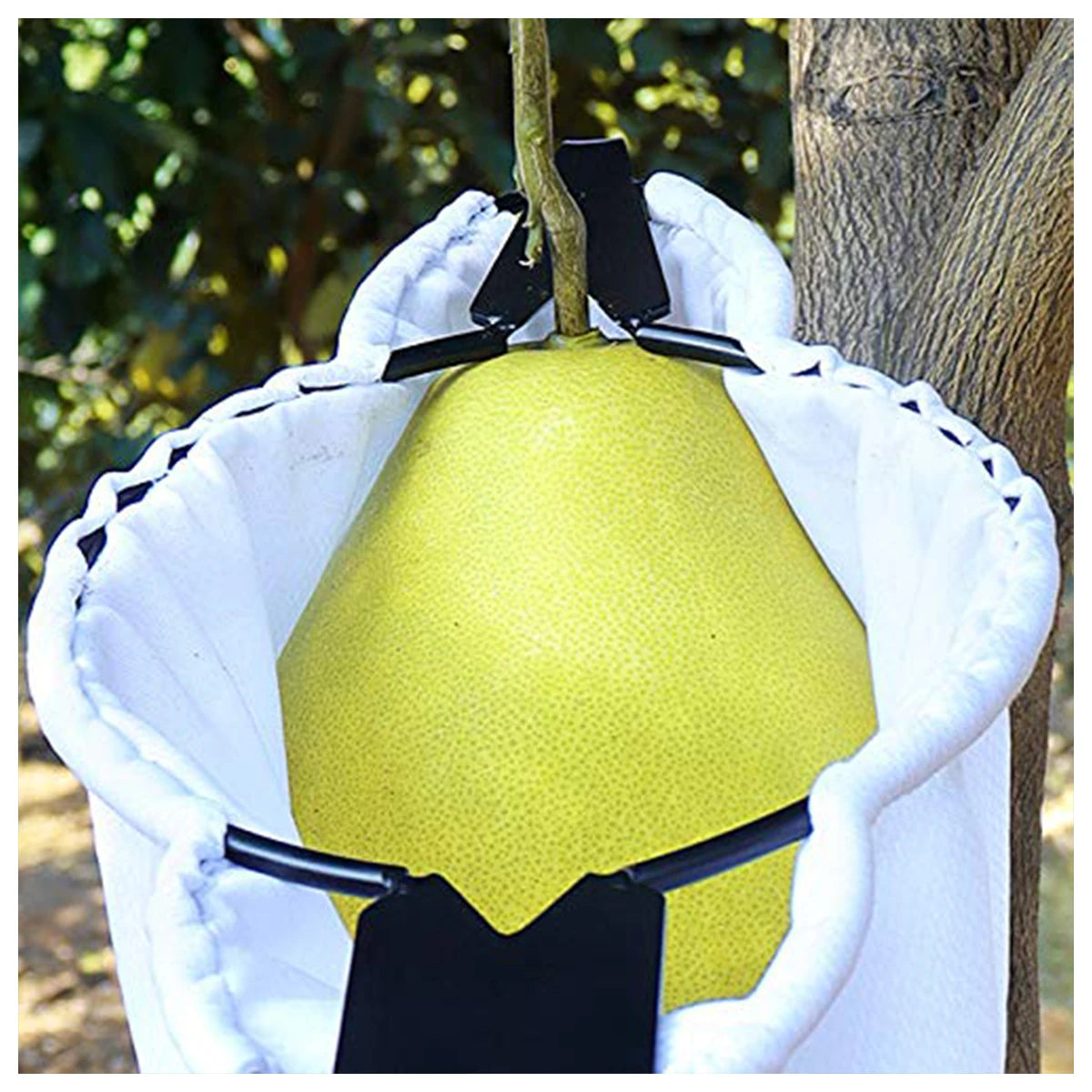 Fruit Picker Orchard Blade Garden Tree Picking Tool Gathering Catcher