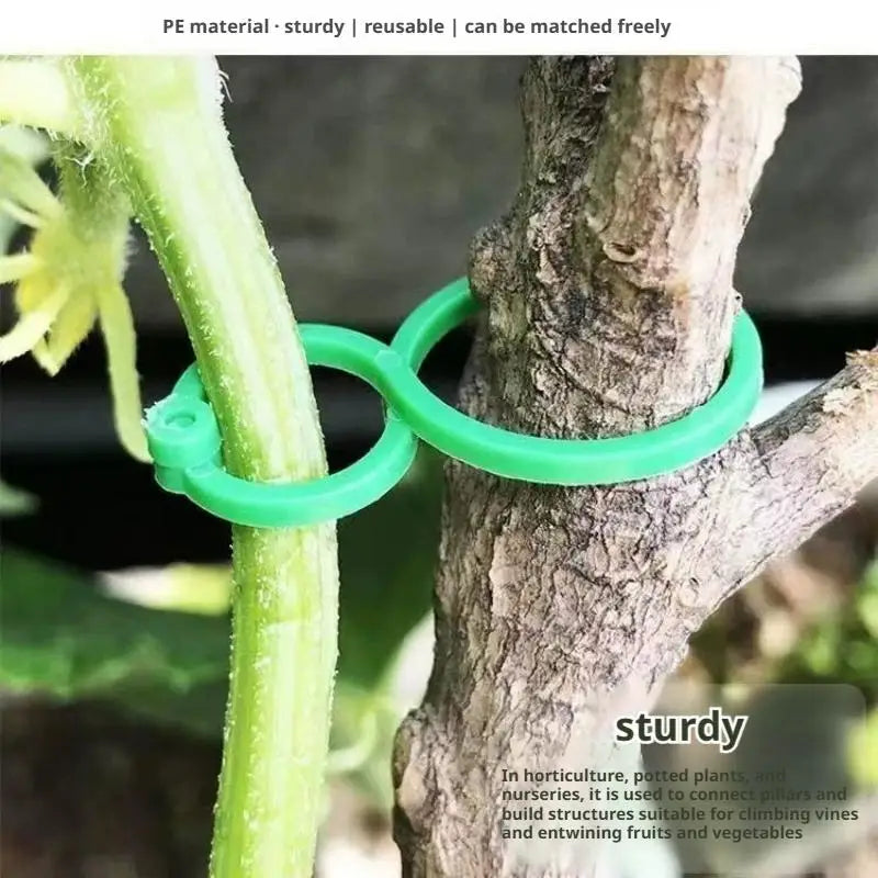 Plant Support Clips 100/500 PCS – Vine & Tomato Strapping Buckles Plant Support Clips Zpaxo