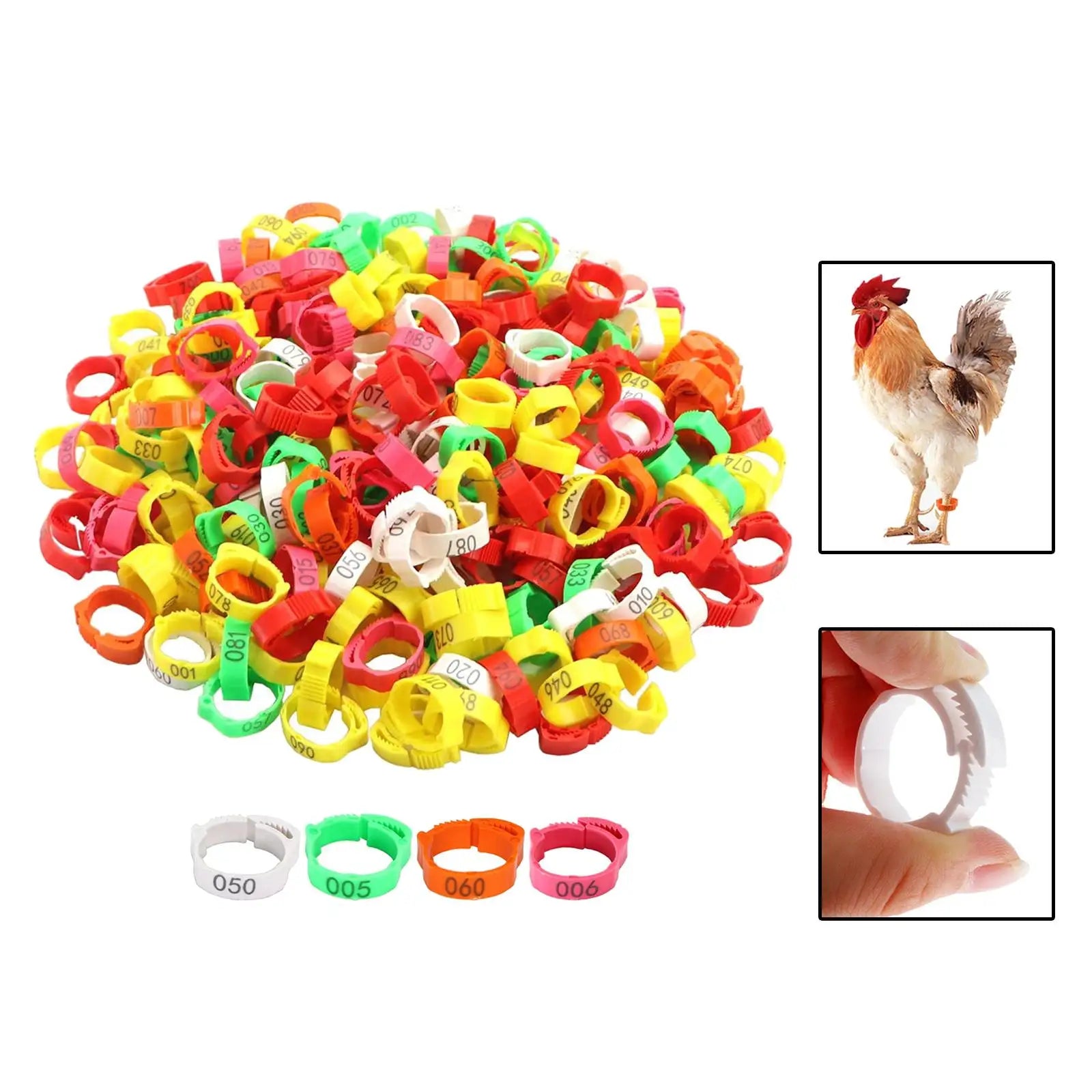 100 Pieces Poultry Foot Rings Foot Label Rings Chicken Marker Tag Poultry Leg Bands for Pigeon Ducks Goose Birds Chickens Zpaxo