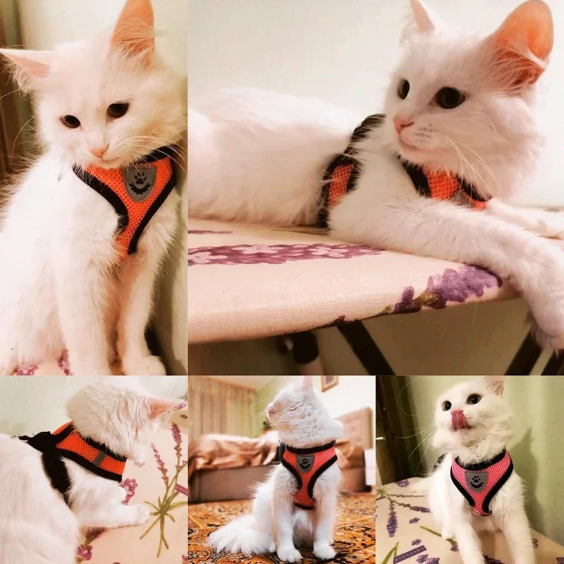 Cat Harness Vest Walking Lead Leash For Puppy Dogs Collar Polyester Adjustable Mesh Dog Harness For Small Medium Pet Accessories Zpaxo