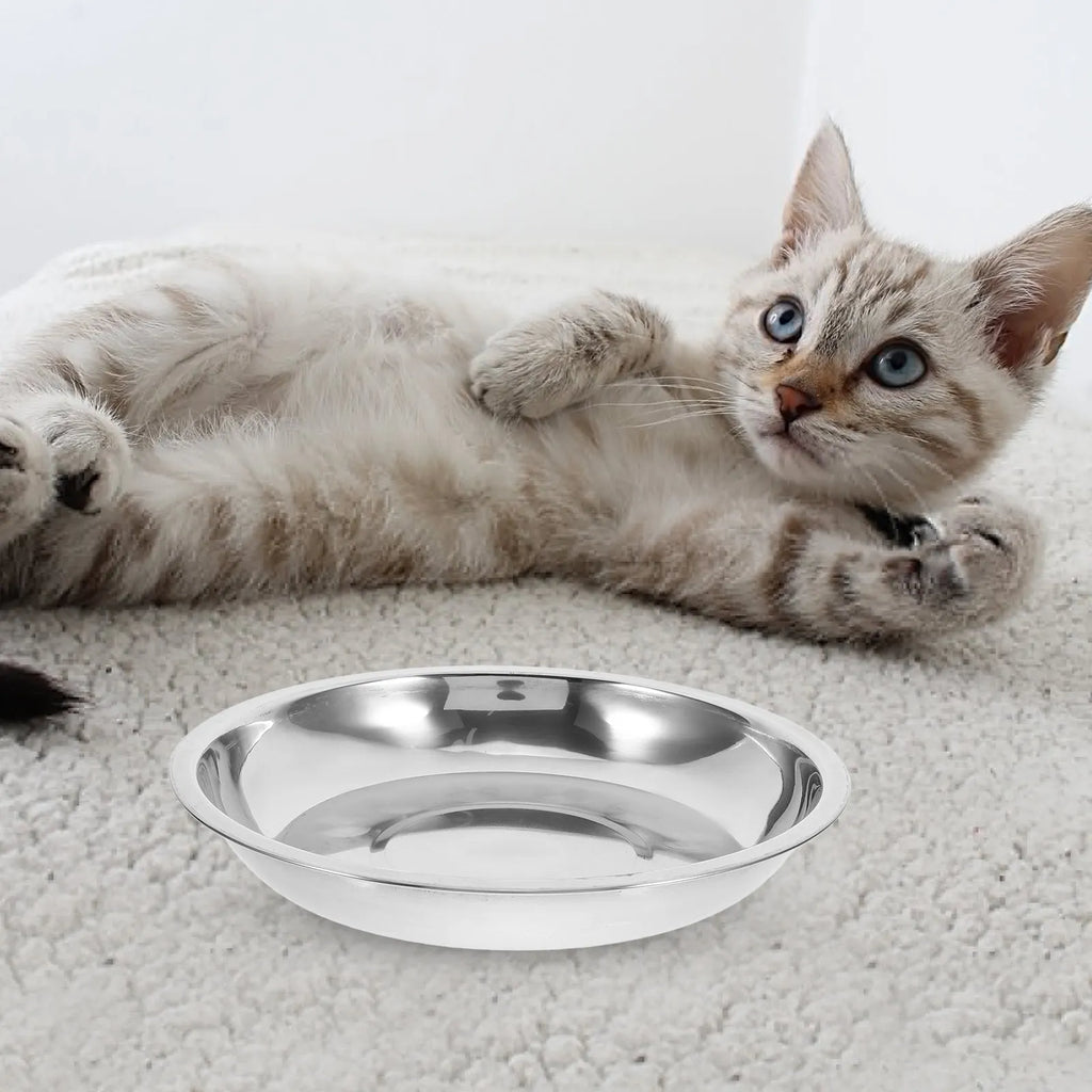 Stainless Steel Pet Bowls Indoor Cats Dogs Safe Rounded Edges Easy