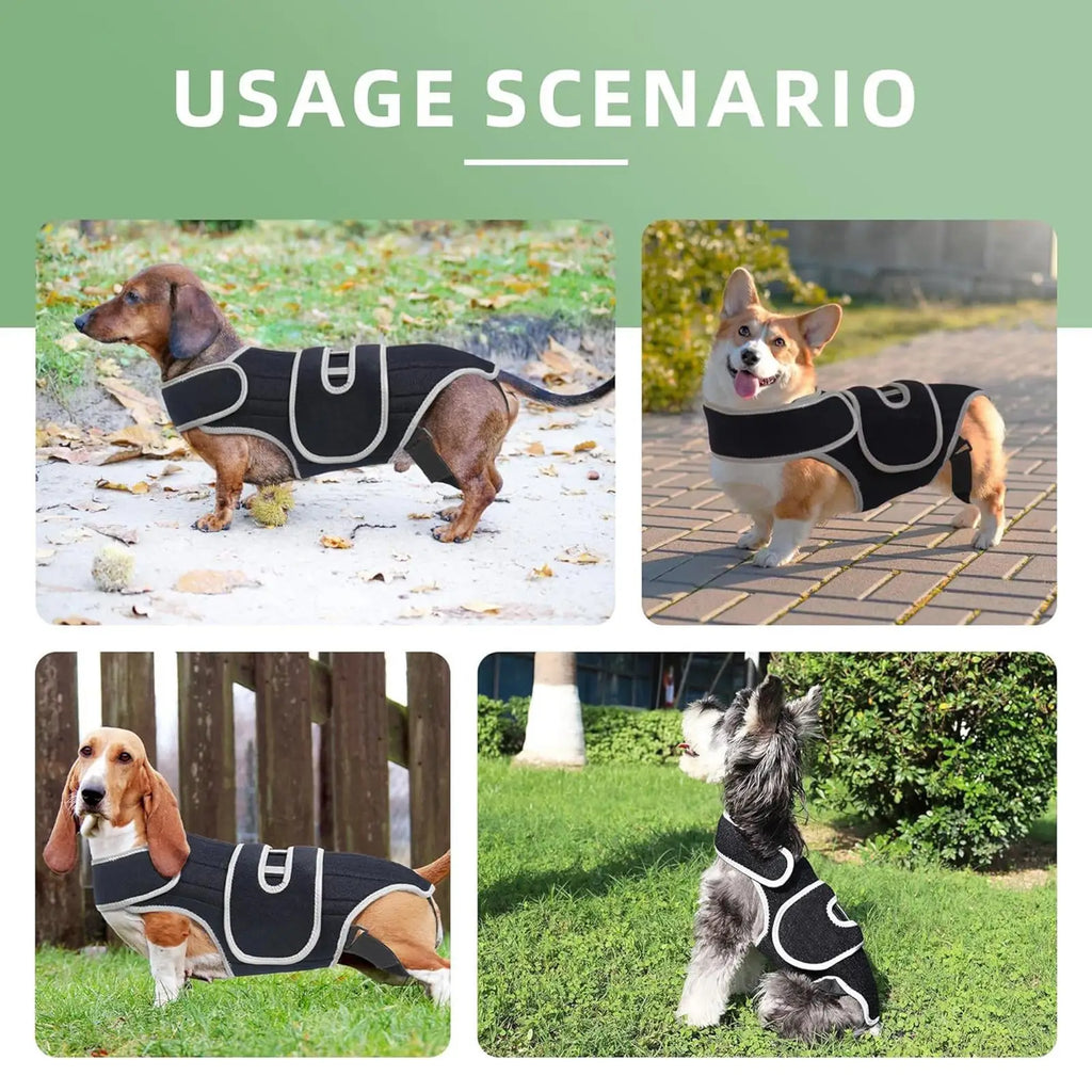 Dog Back Brace Adjustable Spinal Stability Vest Small Support Harness For Stair Step Walking Jogging Home Outdoor Travel Zpaxo