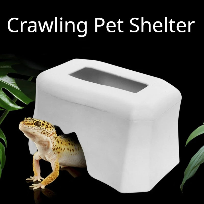 Plastic to avoid water basin reptile water basin tortoise palace Corn snake climb pet drink bowl plastic supplies simulation Zpaxo